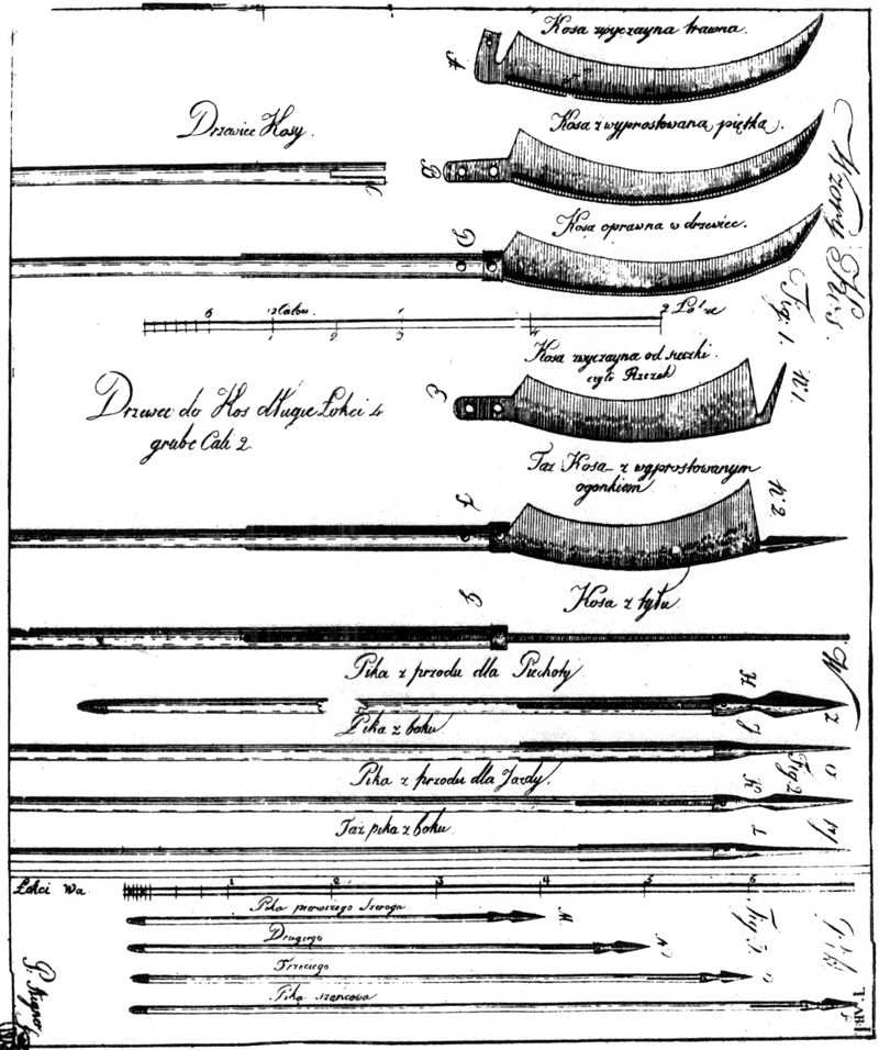 Krótka nauka o pikach i kosach. 1794 Piotr Aigner